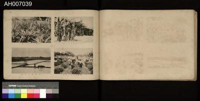 臺灣寫真帖藏品圖，第52張