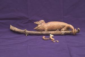 高冠變色龍藏品圖，第6張