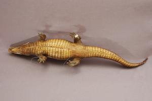 Saltwater Crocodile Collection Image, Figure 9, Total 15 Figures