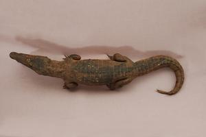 Spectacled caiman Collection Image, Figure 8, Total 15 Figures