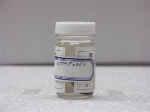 白星笛鯛藏品圖，第1張