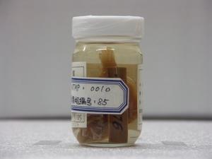 大鱗短額鮃藏品圖，第1張