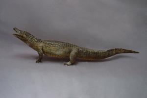 Saltwater Crocodile Collection Image, Figure 4, Total 15 Figures
