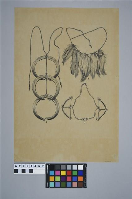 Accession Number:AT004457 Collection Image, Figure 2, Total 2 Figures