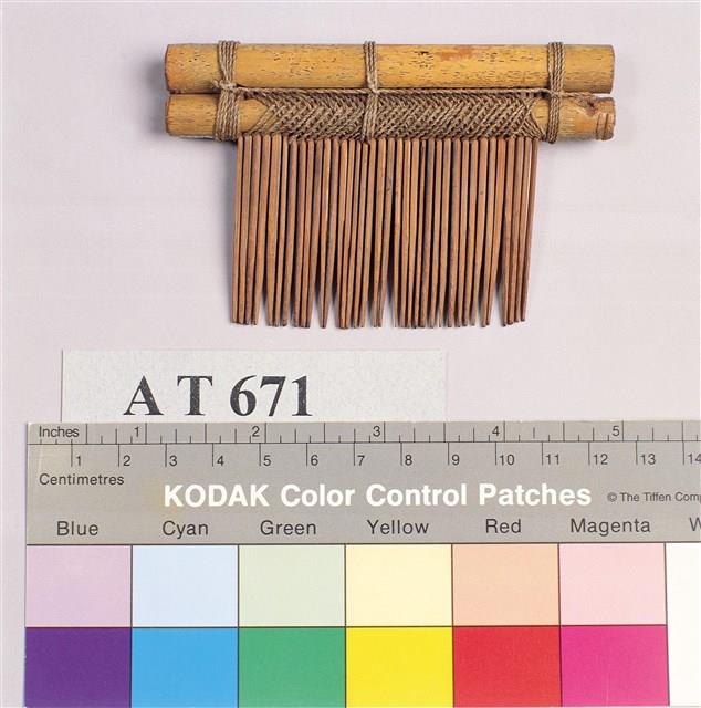 Accession Number:AT000671 Collection Image, Figure 2, Total 5 Figures