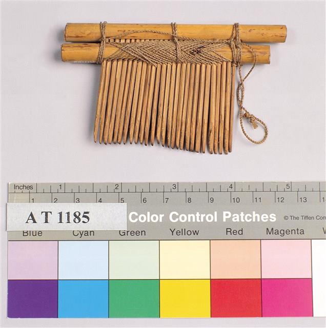 Accession Number:AT001185 Collection Image, Figure 3, Total 5 Figures