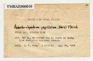 Acanthorrhynchium papillatum (Harv.) Fleisch. Collection Image, Figure 6, Total 11 Figures