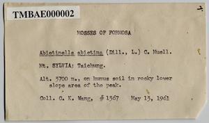 Abietinella abietina (Hedw.) Fleisch. Collection Image, Figure 4, Total 9 Figures