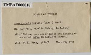 Aerobryopsis parisii (Card.) Broth. Collection Image, Figure 4, Total 8 Figures