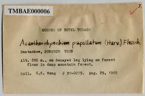 Acanthorrhynchium papillatum (Harv.) Fleisch. Collection Image, Figure 4, Total 8 Figures