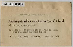 Acanthorrhynchium papillatum (Harv.) Fleisch. Collection Image, Figure 4, Total 8 Figures