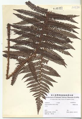 Accession Number:TAIMH000010 Collection Image, Figure 2, Total 3 Figures