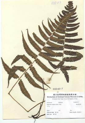 Accession Number:TAIMH000017 Collection Image, Figure 2, Total 3 Figures