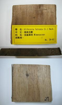 馬來合歡藏品圖，第1張