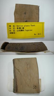 青剛櫟藏品圖，第1張
