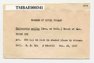 Philonotis mollis (Dozy et Molk.) Mitt. Collection Image, Figure 13, Total 20 Figures