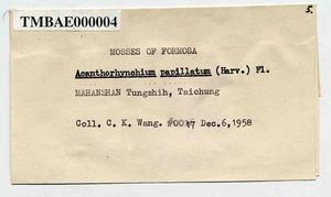 Acanthorrhynchium papillatum (Harv.) Fleisch. Collection Image, Figure 3, Total 3 Figures