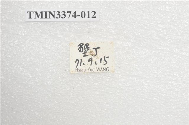 六星白天牛藏品圖，第4張