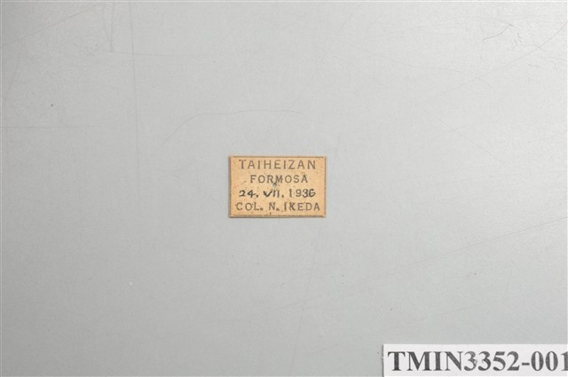 Accession Number:TMIN3352-001 Collection Image, Figure 5, Total 5 Figures