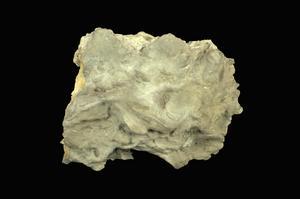 Sulphur Collection Image, Figure 6, Total 9 Figures