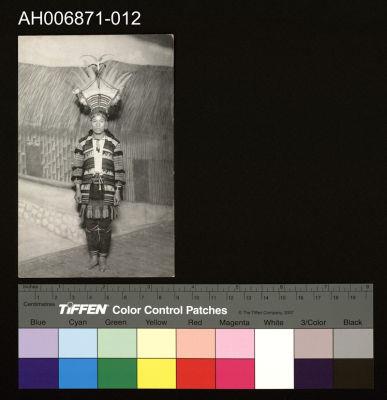 Accession Number:AH006871-012 Collection Image, Figure 1, Total 4 Figures