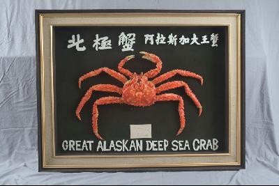 堪察加擬石蟹藏品圖，第1張