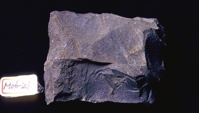 Meta-sandstone Collection Image, Figure 6, Total 9 Figures