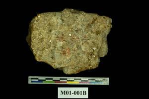 Gold Ore Collection Image, Figure 4, Total 11 Figures