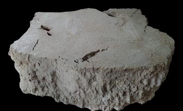 Rhodolith Limestone Collection Image, Figure 1, Total 3 Figures