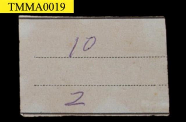 Crab-eating Mongoose Collection Image, Figure 13, Total 13 Figures