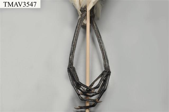 中白鷺藏品圖，第10張
