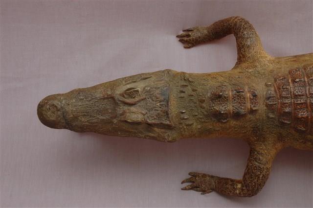 Spectacled caiman Collection Image, Figure 15, Total 15 Figures