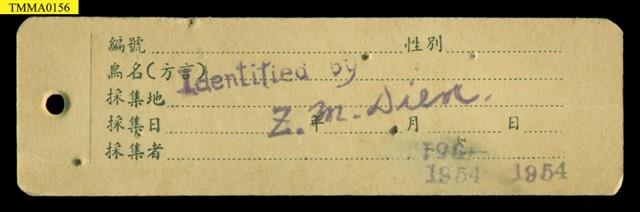 家鼷鼠藏品圖，第12張