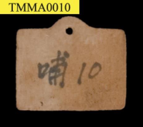 Formosan Rock-monkey Collection Image, Figure 14, Total 15 Figures