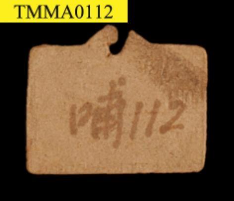 山羌藏品圖，第16張
