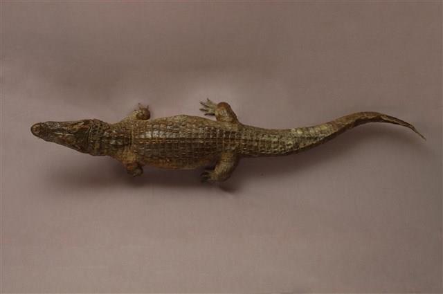 Saltwater Crocodile Collection Image, Figure 13, Total 15 Figures