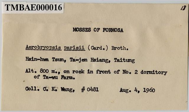Aerobryopsis parisii (Card.) Broth. Collection Image, Figure 3, Total 9 Figures