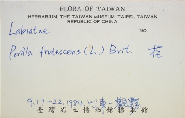 荏藏品圖，第3張