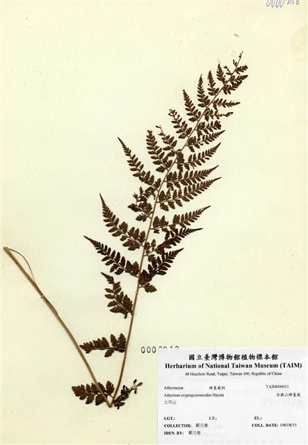 Accession Number:TAIMH000013 Collection Image, Figure 1, Total 3 Figures