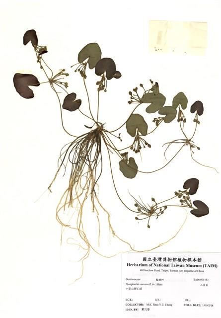 小莕菜藏品圖，第1張