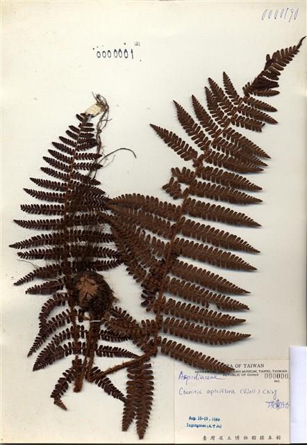 Accession Number:TAIMH000001 Collection Image, Figure 1, Total 3 Figures