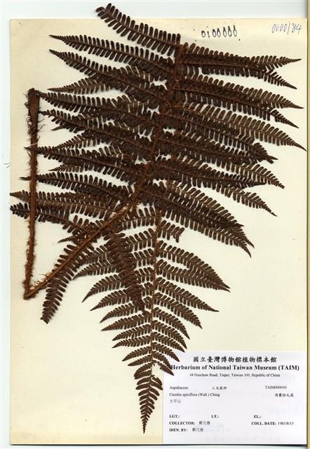 Accession Number:TAIMH000010 Collection Image, Figure 1, Total 3 Figures