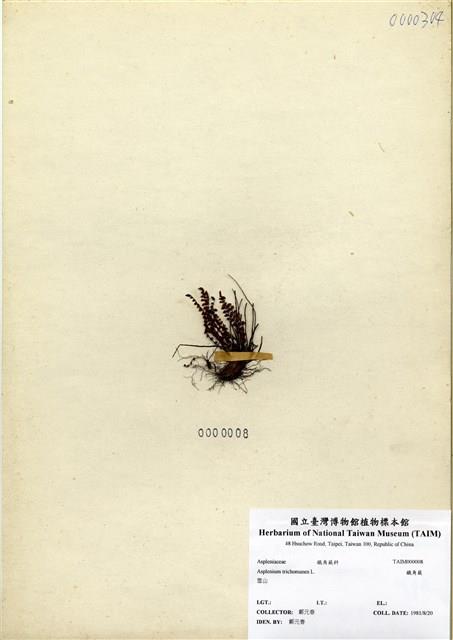 Accession Number:TAIMH000008 Collection Image, Figure 1, Total 3 Figures
