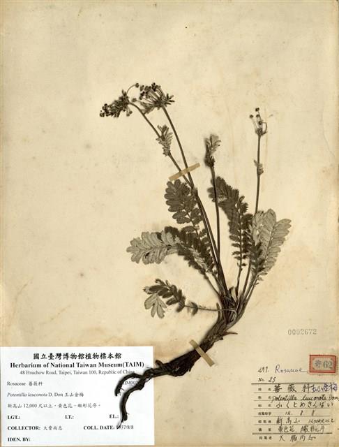 Accession Number:TAIMH002672 Collection Image, Figure 1, Total 2 Figures