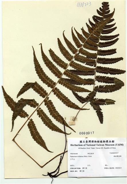 Accession Number:TAIMH000017 Collection Image, Figure 1, Total 3 Figures