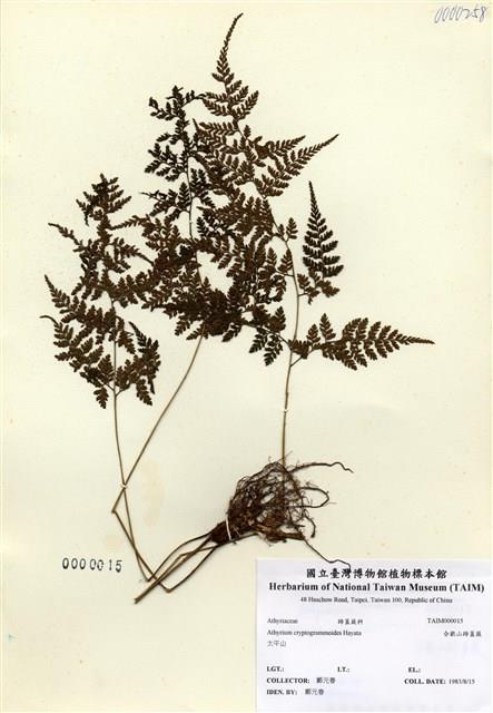 Accession Number:TAIMH000015 Collection Image, Figure 1, Total 3 Figures
