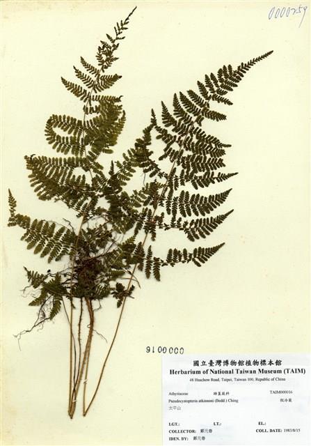 Accession Number:TAIMH000016 Collection Image, Figure 1, Total 3 Figures
