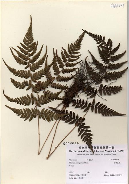 Accession Number:TAIMH000019 Collection Image, Figure 1, Total 3 Figures
