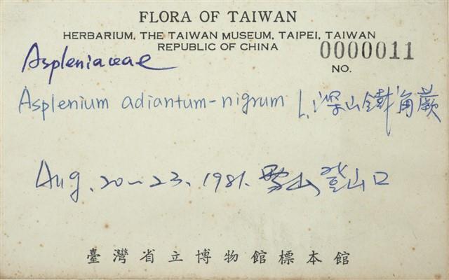 Accession Number:TAIMH000011 Collection Image, Figure 3, Total 3 Figures