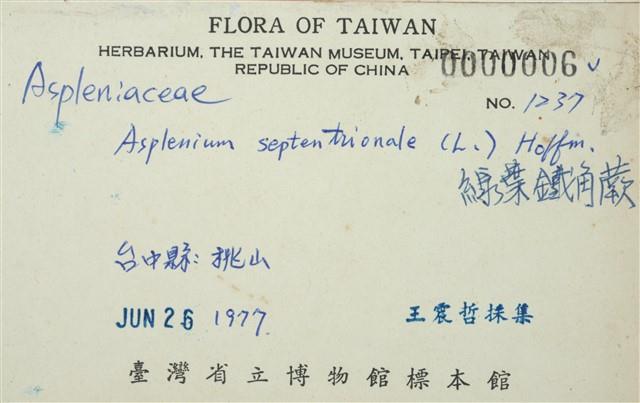 Accession Number:TAIMH000006 Collection Image, Figure 3, Total 3 Figures